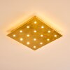 Pionnat Plafondlamp LED Goud, 16-lichts