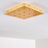 Pionnat Plafondlamp LED Goud, 16-lichts