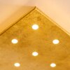 Pionnat Plafondlamp LED Goud, 16-lichts