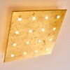 Pionnat Plafondlamp LED Goud, 16-lichts