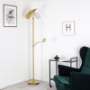 Cazis Staande lamp LED Messing, 2-lichts