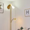 Cazis Staande lamp LED Messing, 2-lichts