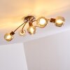 Arconciel Plafondlamp Bruin, 5-lichts