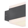 Globo SLICE Buitenlamp LED Antraciet, 1-licht, Kleurwisselaar