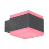 Globo SLICE Buitenlamp LED Antraciet, 1-licht, Kleurwisselaar
