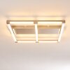 Beken Plafondlamp LED Staal geborsteld, 1-licht