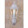 Lutec BRISTOL Buiten muurverlichting Transparant, Helder, Wit, 1-licht, Bewegingsmelder