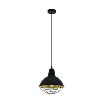 Eglo CANNINGTON Hanger Goud, Zwart, 1-licht