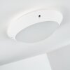 Grafton Buitenshuis plafond verlichting Wit, 1-licht