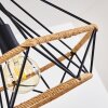 Riekje Hanger Zwart, 1-licht