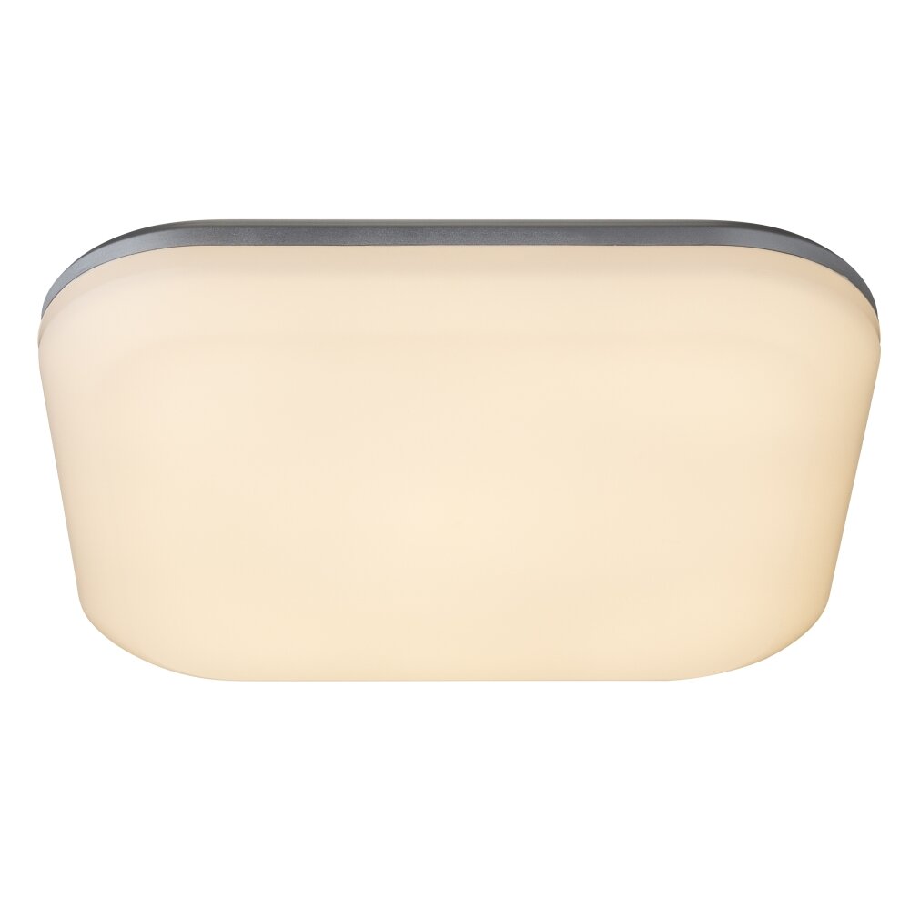 Globo Buitenshuis plafond verlichting LED Zilver, 1-licht main product photo