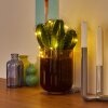 Sondrio Lichtketting LED, 20-lichts