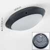 Grafton Buitenshuis plafond verlichting Antraciet, 1-licht