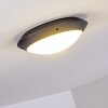 Grafton Buitenshuis plafond verlichting Antraciet, 1-licht