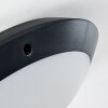 Grafton Buitenshuis plafond verlichting Antraciet, 1-licht
