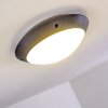 Grafton Buitenshuis plafond verlichting Antraciet, 1-licht