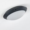 Grafton Buitenshuis plafond verlichting Antraciet, 1-licht