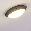 Grafton Buitenshuis plafond verlichting Antraciet, 1-licht
