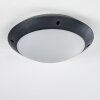 Grafton Buitenshuis plafond verlichting Antraciet, 1-licht