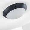 Grafton Buitenshuis plafond verlichting Antraciet, 1-licht