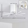 Bangor Plafondlamp LED Wit, 1-licht