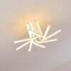 Bangor Plafondlamp LED Wit, 1-licht