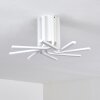 Bangor Plafondlamp LED Wit, 1-licht