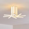 Bangor Plafondlamp LED Wit, 1-licht