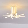 Bangor Plafondlamp LED Wit, 1-licht