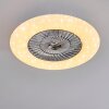 Petrovac plafondventilator LED Chroom, Wit, 1-licht, Afstandsbediening