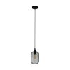 Eglo WRINGTON Hanger Zwart, 1-licht Eglo WRINGTON Hanger Zwart, 1-licht