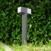 Swanek Padverlichting LED Antraciet, 1-licht