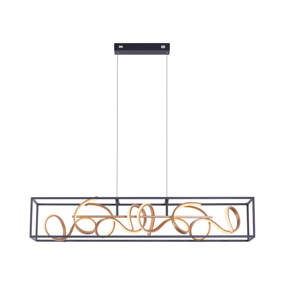Paul Neuhaus SELINA Hanglamp LED Zwart, 4-lichts main product photo
