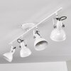 Tina Plafondlamp Wit, 4-lichts