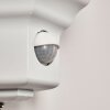 Brissago Buiten muurverlichting Wit, 1-licht, Bewegingsmelder