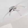 Wikon Plafondlamp LED Nikkel mat, 3-lichts