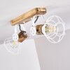 Nifun Plafondlamp Bruin, Wit, 2-lichts