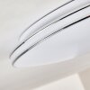 Genthin Plafondlamp LED Wit, 1-licht