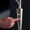 Trio QUEBEC Staande lamp LED Messing, 2-lichts