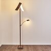 Lasona Staande lamp LED Bruin, Zilver, 2-lichts