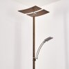 Lasona Staande lamp LED Bruin, Zilver, 2-lichts
