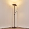 Lasona Staande lamp LED Bruin, Zilver, 2-lichts