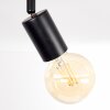 Maidford Plafondlamp Zwart, 6-lichts