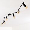 Maidford Plafondlamp Zwart, 6-lichts