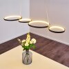 Rodekro Hanglamp LED Zwart, 1-licht
