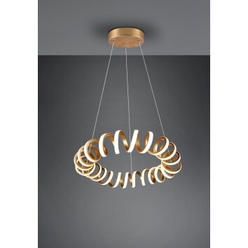 Trio Curl Hanglamp LED Goud, 1-licht Trio Curl Hanglamp LED Goud, 1-licht