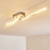 Jamjo Plafondlamp LED Nikkel mat, 1-licht