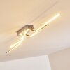 Jamjo Plafondlamp LED Nikkel mat, 1-licht