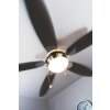 Globo AZURA Ventilator Nikkel mat, 1-licht