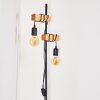 Barbengo Staande lamp Bruin, Zwart, 2-lichts